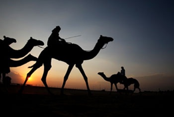 Dubai – Nơi hiện đại hội ngộ với truyền thống - 2 Dubai – Nơi hiện đại hội ngộ với truyền thống