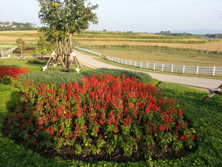 Chiều rực rỡ trong công viên rộng lớn Shingha Chiang Rai - 3 Những con đường chạy trong khu công viên mênh mông