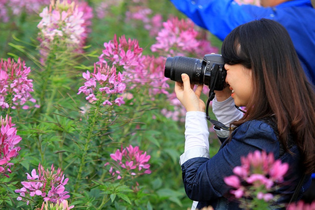 Các nhiếp ảnh gia chuyên và không chuyên không bỏ lỡ cơ hội ghi lại khoảnh khắc đẹp của thiên nhiên