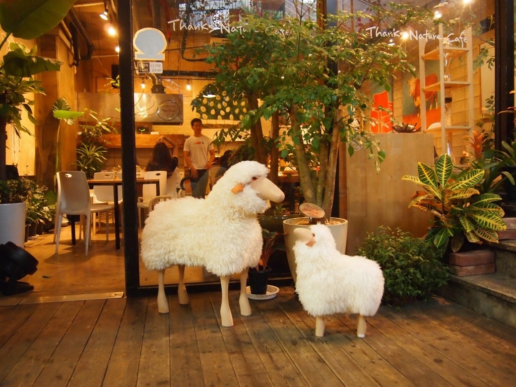 Quán cafe hút khách khủng nhờ sự xuất hiện của... cừu - 2 Mô hình hai chú cừu đặt ngoài cửa