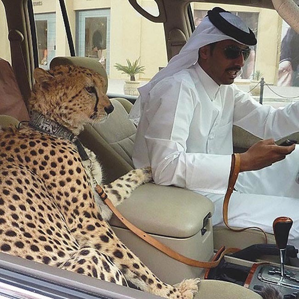 Choáng” với những hình ảnh về cuộc sống xa xỉ ở Dubai | Báo Dân trí