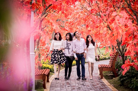 Mãn nhãn với công viên hoa Xuân - 6 Mãn nhãn với công viên hoa Xuân