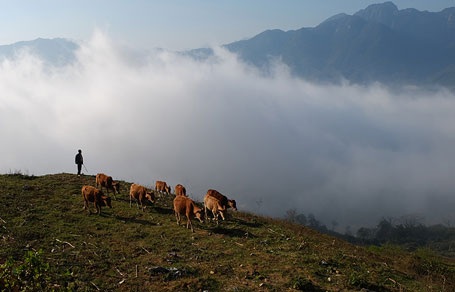 Chiêm ngưỡng Sa Pa huyền ảo trong sương sớm - 2 Phạm Ngọc Triển
