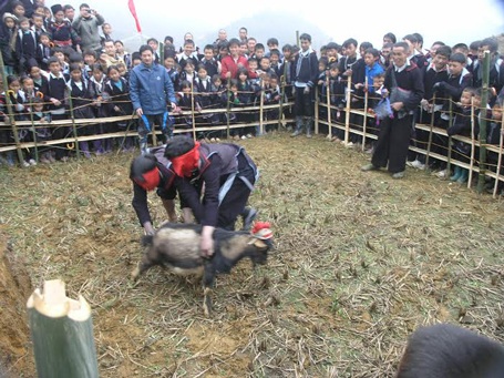 Du khách cùng dân bản tham gia trò chơi bịt mắt bắt dê trong hội xuân Gầu Tào Sa Pa