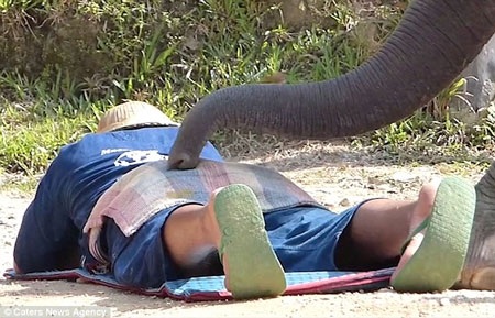 và cả chân để thực hiện các động tác mát xa