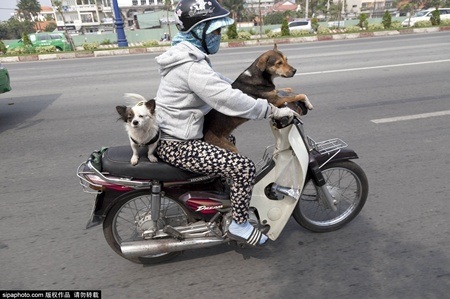 Những khoảnh khắc trong bộ ảnh được chụp hầu hết tại các tỉnh phía