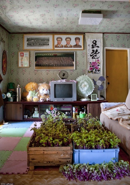 Lạ lẫm với kiểu du lịch homestay ở “đất nước bí ẩn nhất thế giới” - 3 Phòng nghỉ của nhiếp ảnh gia người Pháp với đầy đủ chăn nệm và một số thiết bị cần thiết