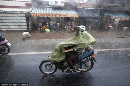 Một độc giả chia sẻ: “Dường như người Việt