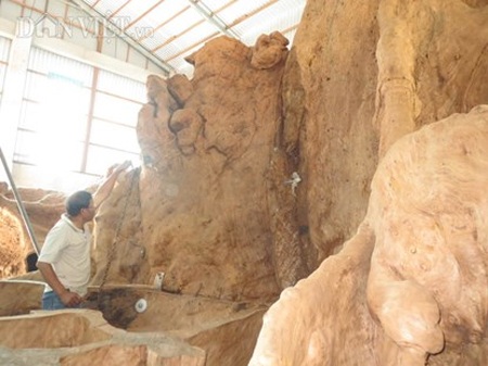 Nhiều mảng rễ được lắp ráp đúng theo nguyên trạng ngoài tự nhiên. (Ảnh: PL)