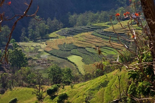 Khung cảnh yên bình miền đất Phật Nepal trước trận động đất kinh hoàng - 11 Những thửa ruộng bậc thang ở ngôi làng Ghara thuộc phía Nam Nepal