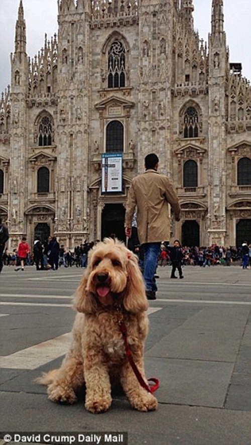 Chụp hình ở Nhà tòa chính tòa Milano tại