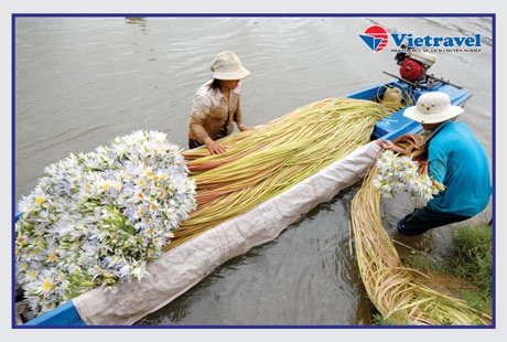 Kết quả tuần 3 cuộc thi "Thử tài hiểu biết Non sông đất Việt" - 2 Hạn trả lời các câu hỏi tuần này là 18h ngày 13/4