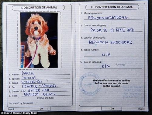 Hộ chiếu riêng của Darc