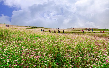 Du khách dưới xuôi đi chợ Cán Cấu rồi tranh thủ lên xã Lử Thẩn để ghi lại khoảnh khắc đẹp.