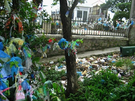 Những thân cây cũng bị du khách xả rác.