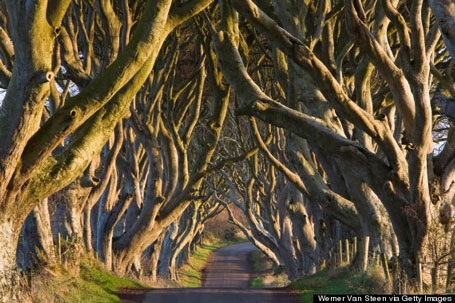 Đèo ở Dadès Gorges, High Atlas, Maroc. Con đường này nằm giữa hai dãy núi Atlas và Jbel Saghro.