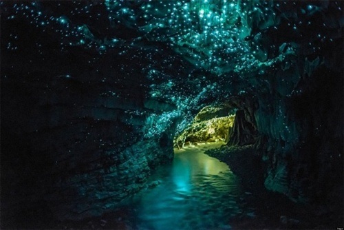 Hang Sơn Đoòng đứng đầu trong Top hang động mang vẻ đẹp bí ẩn - 2 Hang Waitomo, King Country,