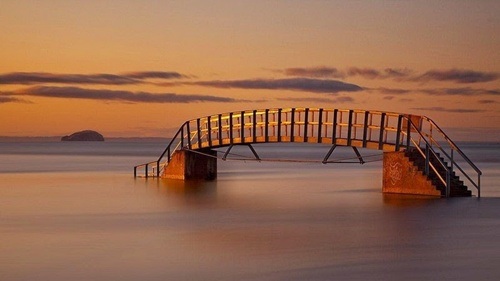 Cây cầu nhỏ như lơ lửng trên mặt nước