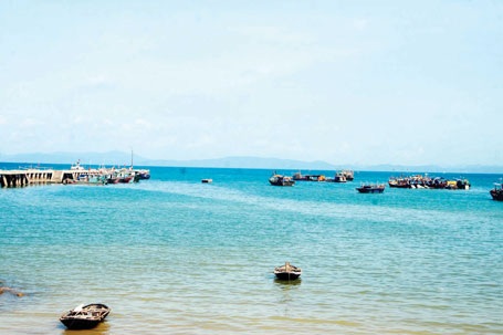 Những viên ngọc xanh tinh khiết của quê hương - 1 Những viên ngọc xanh tinh khiết của quê hương