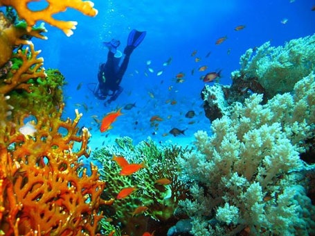 Thành phố cổ chìm dưới biển Pavlopetri, Hy Lạp. (Nguồn: flickr / Rajasthan Patrika)