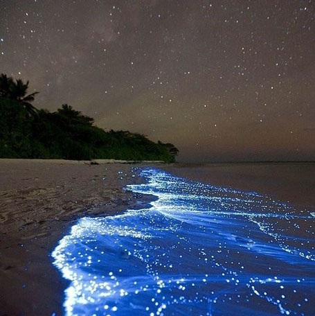 Rặng đá ngầm tại Belize. (Nguồn: flickr / latin american exclusive)