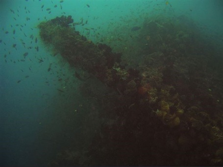 Báu vật thế giới tuyệt đẹp ẩn giấu dưới đại dương - Kỳ 2