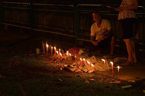 Thế giới của hoa lan. Là quốc đảo nhiệt đới,