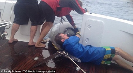 Sau khi biết con cá mắc câu, bà đã dùng sức mình để kéo con thủy quái lại gần thuyền.