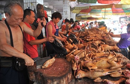 Hãy cùng chúc mừng Lễ hội thịt chó tại Việt Nam bằng việc xem những hình ảnh đầy màu sắc về đồ ăn và công nghiệp chế biến thịt chó. Lễ hội này không chỉ mang tính văn hóa mà còn đem lại cảm giác những thứ không thể tìm thấy đâu ngoài các món ăn tuyệt vời!