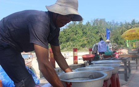 Ghẹ và con đẳng sâm