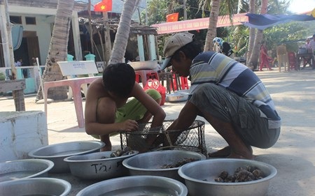 Mực nang và ốc biển tươi sống được bán tại chợ