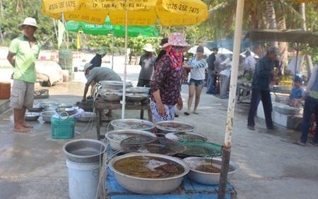 Khu chợ hải sản nằm lọt thỏm giữa núi và biển.