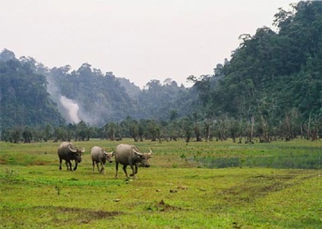 Vẻ đẹp yên bình của cuộc sống người dân xung quanh hồ Noong
