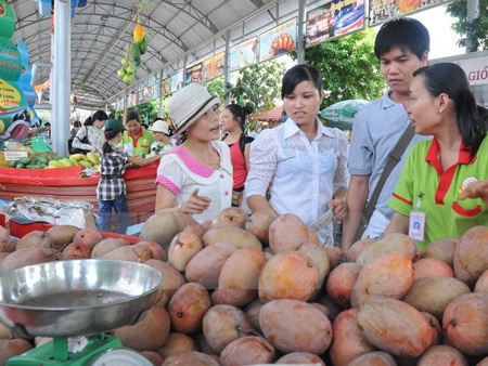 Hàng chục nghìn du khách tham dự Lễ hội trái cây Nam bộ 2015 - 1 Du khách tham quan Lễ hội trái cây Nam bộ năm 2014. (Ảnh: An Hiếu/TTXVN)