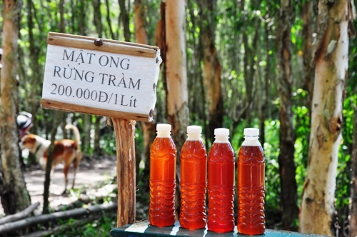 Về Trà Sư ngẩn ngơ giữa rừng tràm - 5 Quà mang về