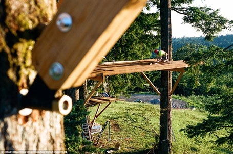 Cận cảnh ngôi nhà trên cây có một không hai tại Mỹ