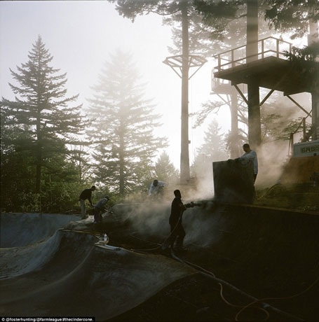 Cận cảnh ngôi nhà trên cây có một không hai tại Mỹ