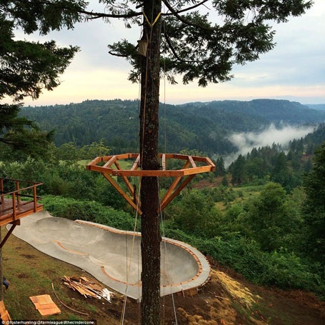 Cận cảnh ngôi nhà trên cây có một không hai tại Mỹ