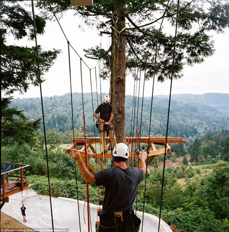 Cận cảnh ngôi nhà trên cây có một không hai tại Mỹ