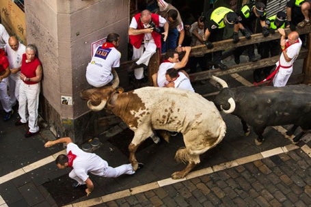 Thót tim với những hình ảnh “bò rượt người” trong lễ hội San Fermin - 12 Lễ hội này không dành cho những người yếu tim