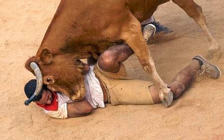 Thót tim với những hình ảnh “bò rượt người” trong lễ hội San Fermin - 4 Chạy không kịp nữa rồi!