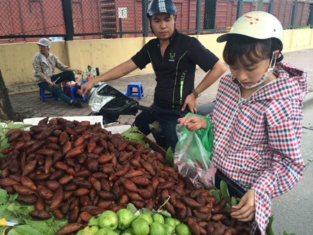 Quả lạ đầy gai: Dân Hà thành rủ nhau ăn thử - 2 Nhiều người dân tò mò về thứ quả mới toanh này liền mua về ăn thử