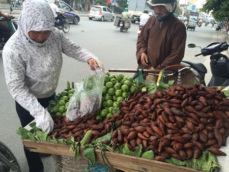 Quả lạ đầy gai: Dân Hà thành rủ nhau ăn thử - 3 Do là quả lạ lại hút khách nên dân bán hoa quả dạo được đà hét giá cao gấp 2-3 lần so với thực tế