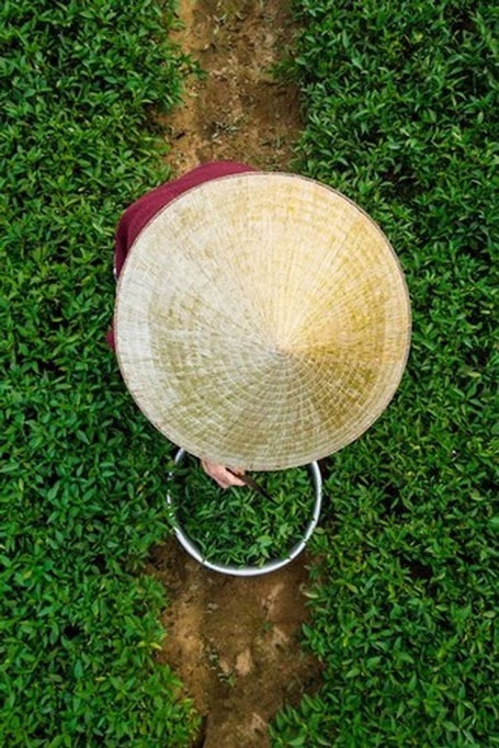 Hội An đẹp bình dị qua ống kính nhiếp gia người Pháp - 12 Hội An đẹp bình dị qua ống kính nhiếp gia người Pháp