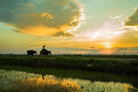 Hội An đẹp bình dị qua ống kính nhiếp gia người Pháp - 2 Hội An đẹp bình dị qua ống kính nhiếp gia người Pháp