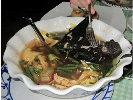10 món ăn ghê rợn nhất hành tinh - 11 Ở Cộng hòa