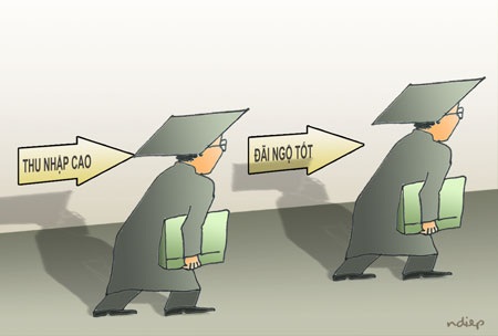 Anh nông dân nuôi cò và câu hỏi không dễ trả lời…! - 1 (Minh họa: Ngọc Diệp)