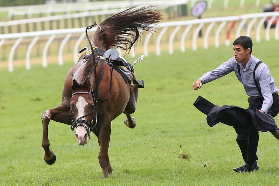 Nhìn lại những khoảnh khắc ấn tượng của thể thao thế giới 2014 - 4 Tay đua Thomas
Luthi ngã dập đầu xuống đất trên đảo Phillip, Australia.