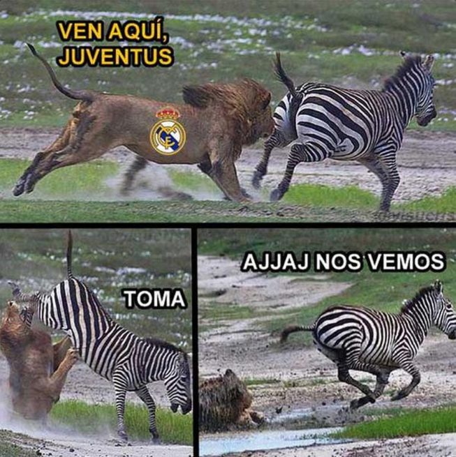 Ảnh biếm họa về thất bại cay đắng của Real Madrid - 10 Real Madrid lĩnh nguyên cú đá hậu của
Juventus.