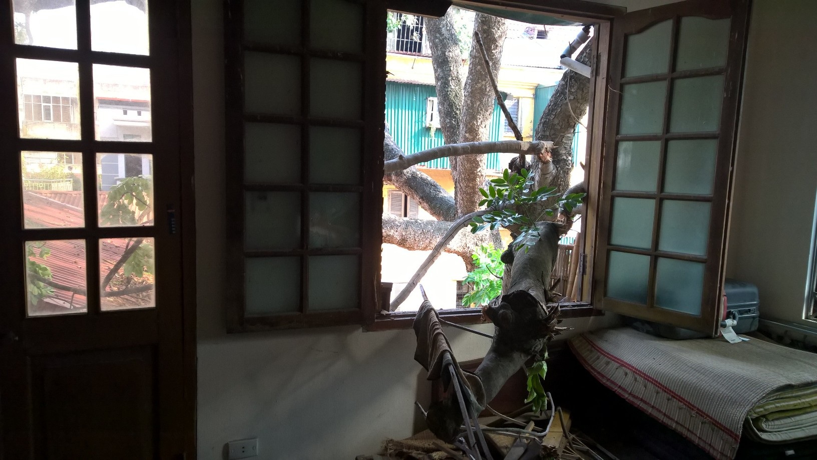 Hoang mang vì cây cổ thụ đổ đè vào nhà suốt từ trận "siêu giông" - 2 Cây đổ đè lên nhà dân đã 2 ngày vẫn chưa được xử lý